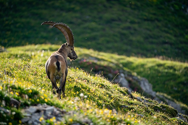 Hochschwab - crossing