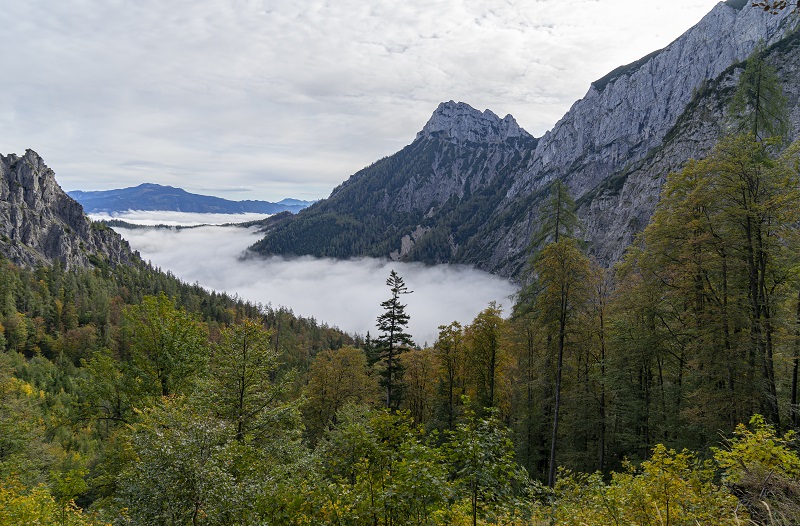 Von Reichraming nach Lunz am See