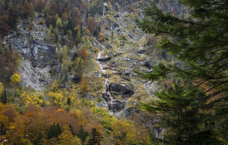 Nationalpark Eisenwurzen & Wildnisgebiet Dürrenstein